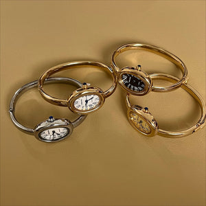 Roman Numeral Oval Watch Titanium Bracelet PDW008
